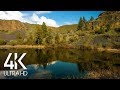 10 Hour - Lake Lapping Water & Birds Singing Sounds for Relaxation, Destress, Sleep