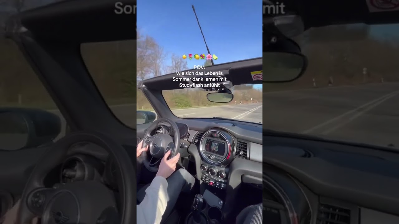 Sommer, Sonne, Studyflash 