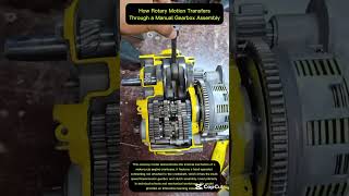 Diagnostic Analysis of Crankshaft and Multi-Plate Clutch Systems