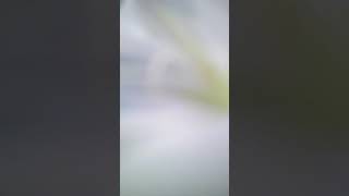 27 De Dezembro De 2018