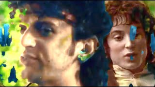 Celebrity a shockumentary about MGMT Wealth