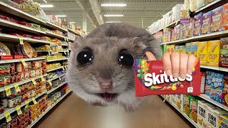 Skittles Meme Sad Hamster