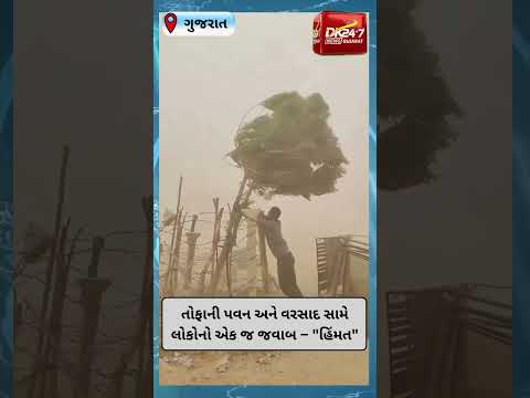 #gujrat | તોફાની પવન અને વરસાદ સામે લોકોનો એક જ જવાબ – "હિંમત"  | #drashtikonnews
