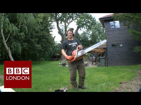 Narnia tree sculptures in Surrey – BBC London News - YouTube
