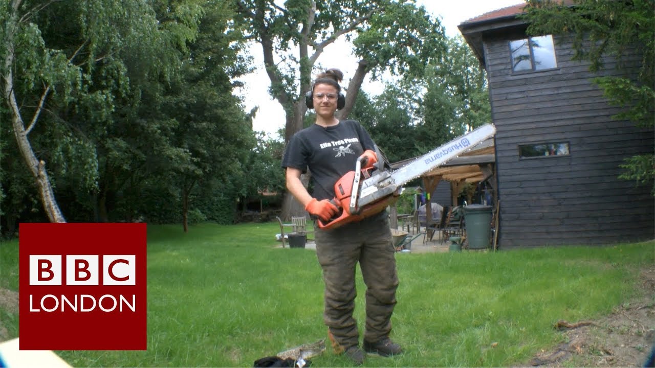 Narnia tree sculptures in Surrey – BBC London News