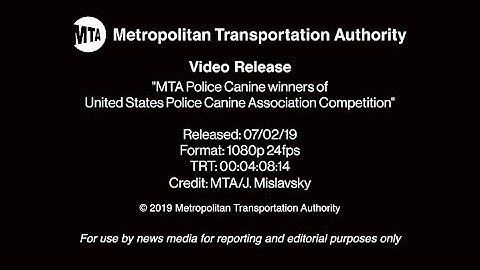 MTA Video Release: MTA Police Canine winners of US Police Canine Association Competition - 07/02/19