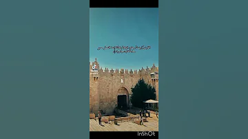 باقون ما بقي الزعتر والزيتون فلسطين حرة غزة القدس الضفة الغربية عرب ٤٨ 