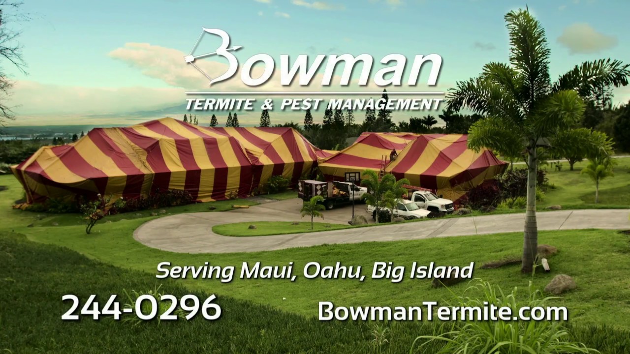 Bowman Pest Management Maui Hawaii YouTube