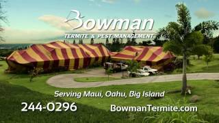 Bowman Pest Management - Maui Hawaii