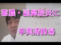 漢方エビデンスナビ・辛夷清肺湯について