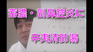 漢方エビデンスナビ・辛夷清肺湯について