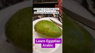Egyptian mango season learn Egyptian Arabic