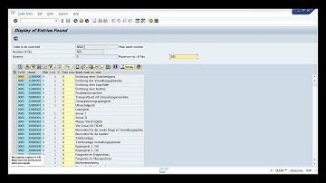 SAP ABAP LSMW Overview
