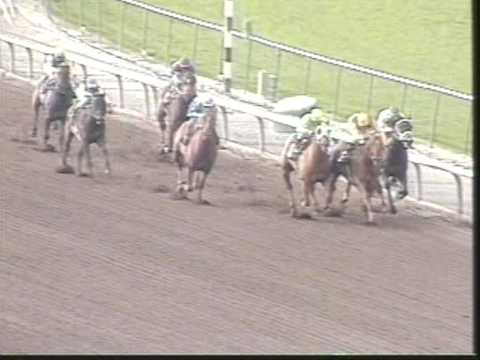 Cigar: 1st start - Feb. 21, 1993 - Maiden Special Weight