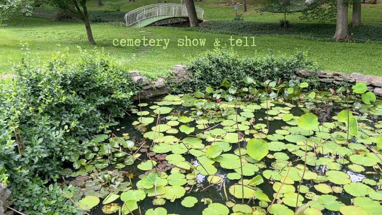 asmr cemetery vlog ~ relaxing nature walk | show & tell