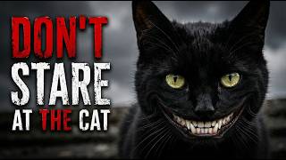 Dont Stare At The Cats Horror Short Film