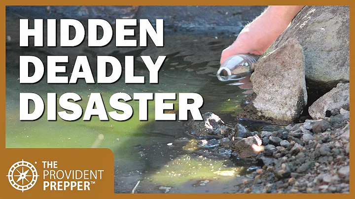Emergency Sanitation: The Hidden Deadly Disaster w...