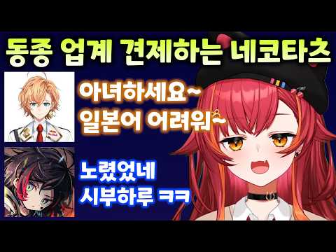 [브이스포] 동종 업계 경계하는 네코타츠