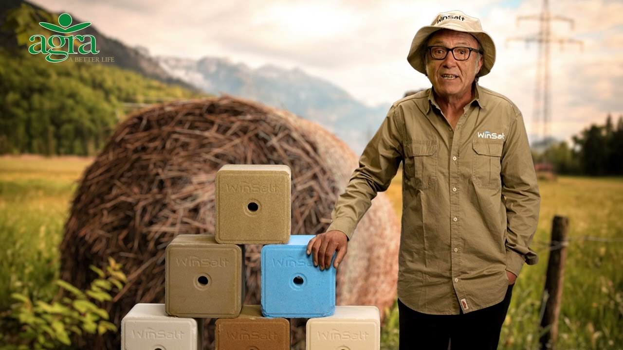 WinSalt products are available at all Agra Stores across Namibia.