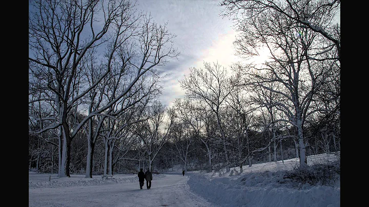 GIS at Public Gardens - The Arnold Arboretum of Ha...