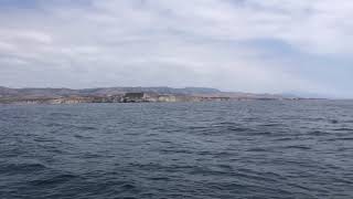 Rounding Point Conception