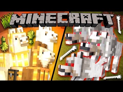 Click to Play Video