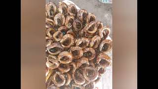 How To Dry Fish In Nigeria Panla Fish