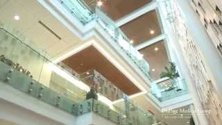 Duly Cancer Support Services