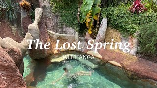 Exploring The Lost Spring Whitianga New Zealand 4K