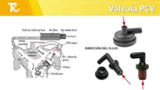 repuestos frederik Válvula PCV  Fallas Funcionamiento y Pruebas  VW y otros