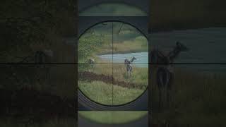 Tracking Down My First Deer #huntingsimulator #callofthewildgameplay #huntervlogs