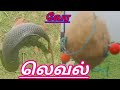 கட்லா ரோகு மின்கலம் பில்லுக்கென்டை ரிசல்ட் Bite
