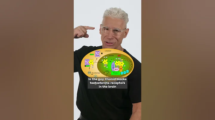 Fertility FYI - Clomid is not just for the ladies!