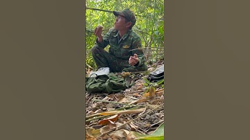 Bữa cơm trong rừng một mình