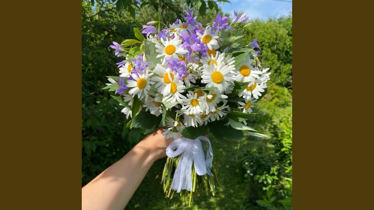 todo es lindo igual la naturaleza