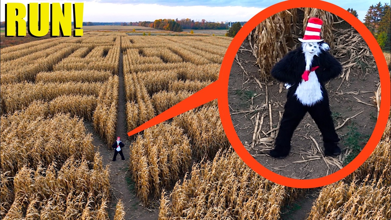 drone catches REAL Cat in the Hat hiding in Haunted Corn Maze... (He's Bad)