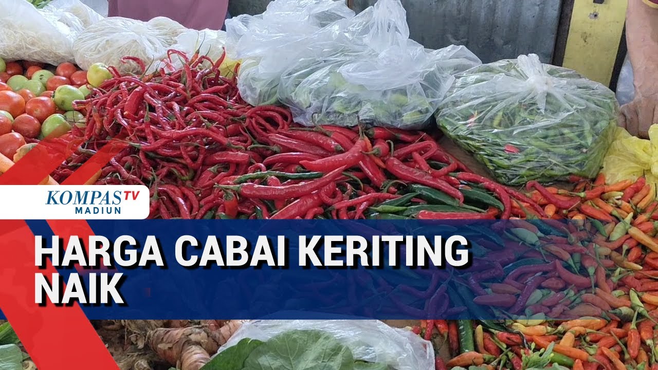 Harga Cabai Keriting Naik