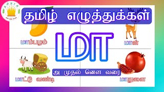 தமிழரசி-தமிழ் எழுத்துக்கள்-Uyir Ezhuthukal |Mei Eluthukkal|UyirMei Eluthukkal |Tamil Letter for kids