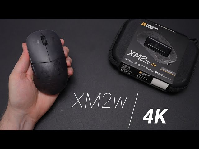 Endgame Gear XM2w 4K Review - YouTube 