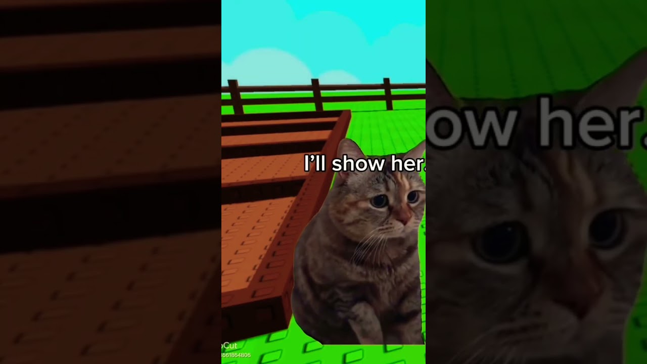 @credits to Miss Leah