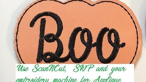 Use SewWhatPro, a Cutting Machine & an Embroidery Machine Together for Applique