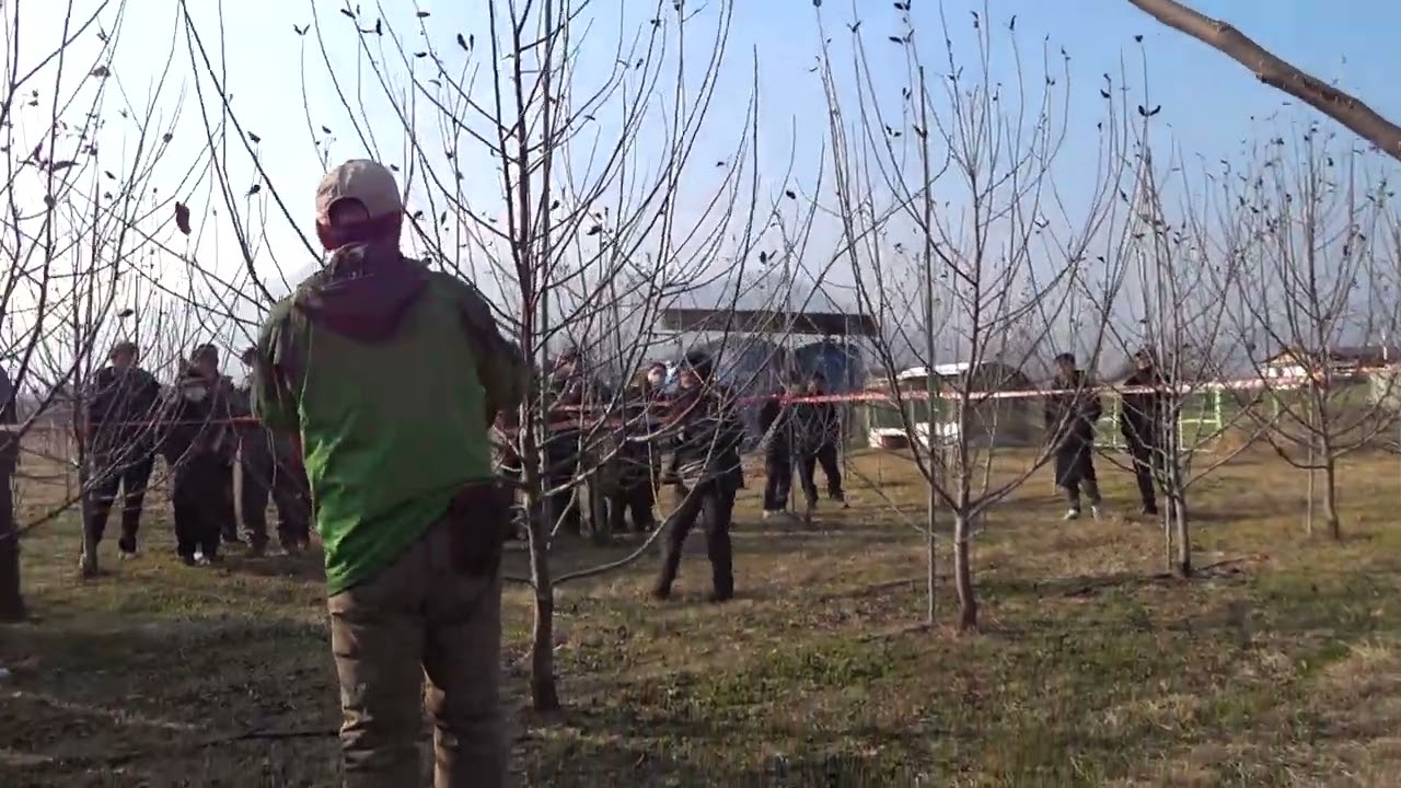 2025 01 20 마루바 개심형 유목 전정 감홍3년생