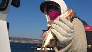 무식한 놈들 #동해 #낚시입문 #열기낚시