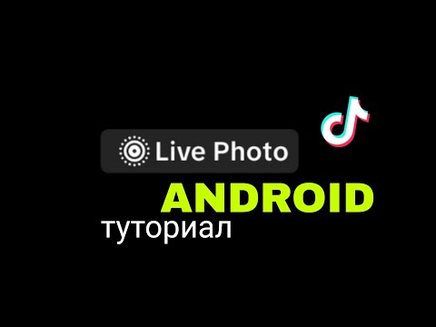 Видео на YouTube