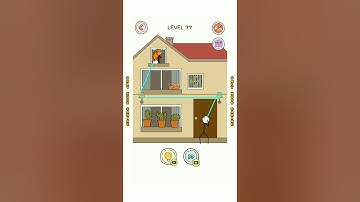 Thief Puzzle Level 77