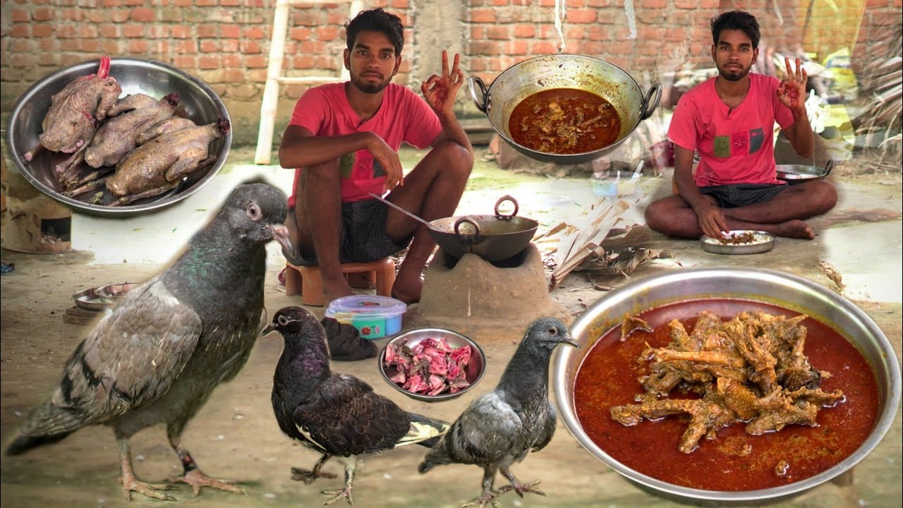 Pigeon meat curry recipe in village style Cooking and Eating | kabutar banane ka tarika| pigeon fry