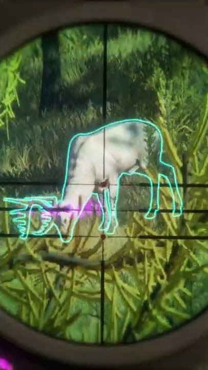🏹 HUGE ALBINO WHITETAIL WITH THE CROSSBOW | The hunter call of the wild. #shorts