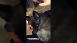 Instagram Stories Chance Sutton 8/09/17