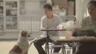 Die Kleinen Helden Des Alltags