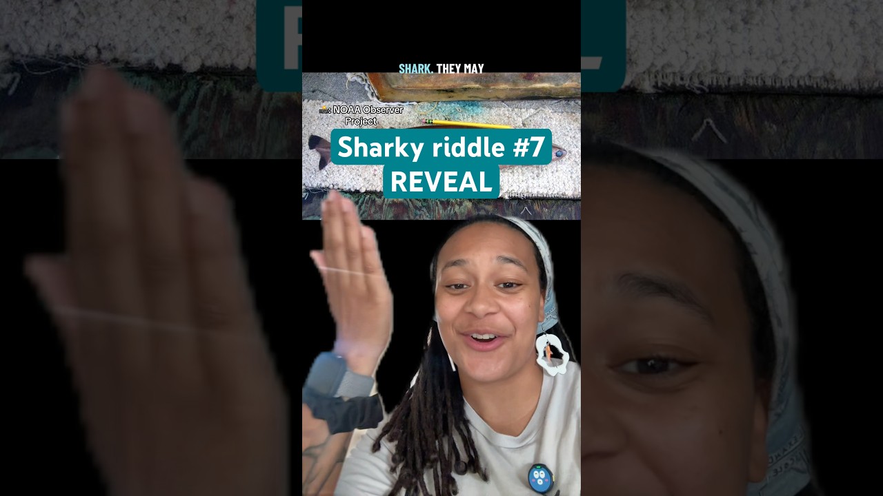 Thanks for joining me this week! Let me know your final score!